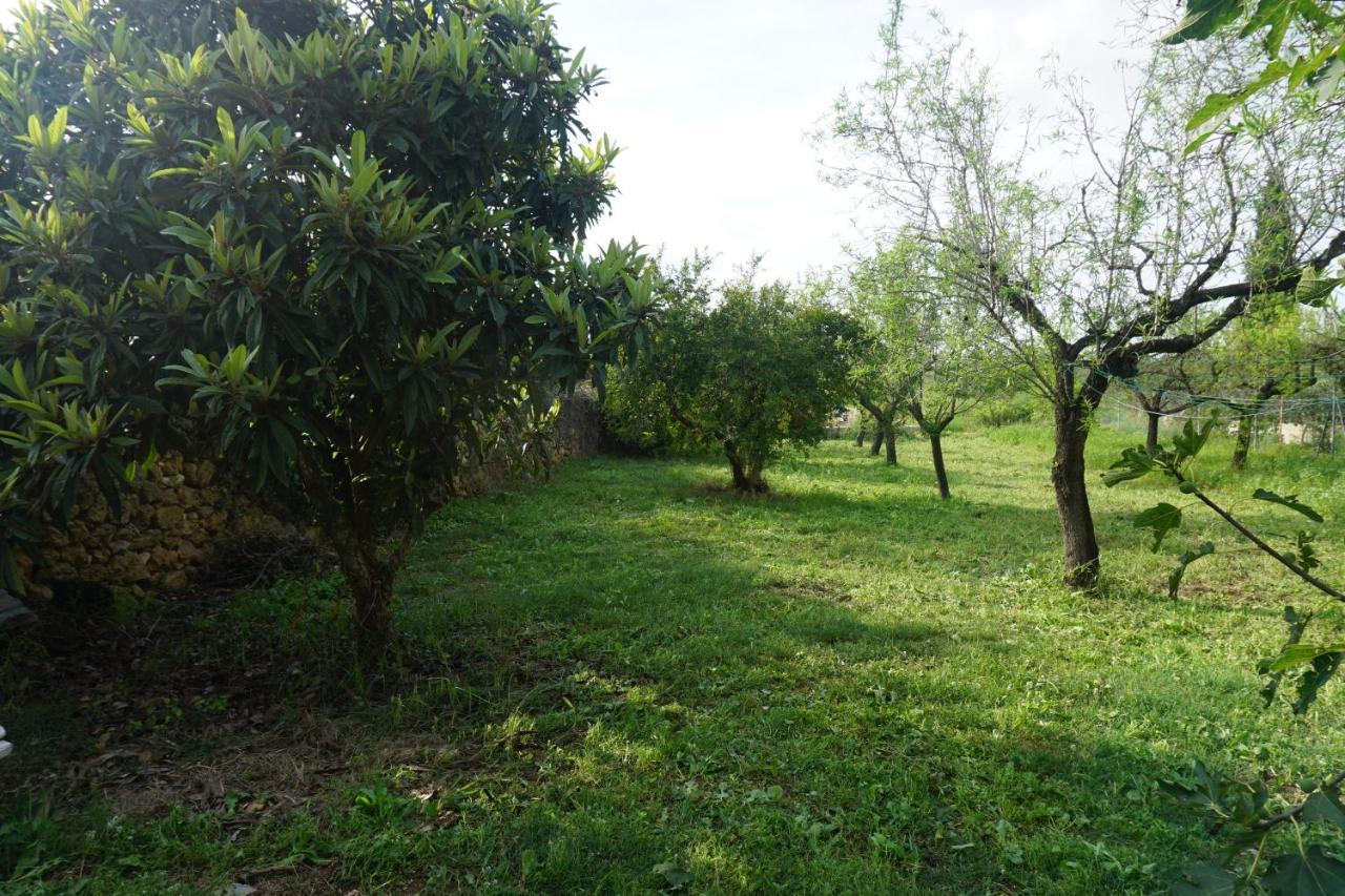 Cálig Casa El Regall מראה חיצוני תמונה