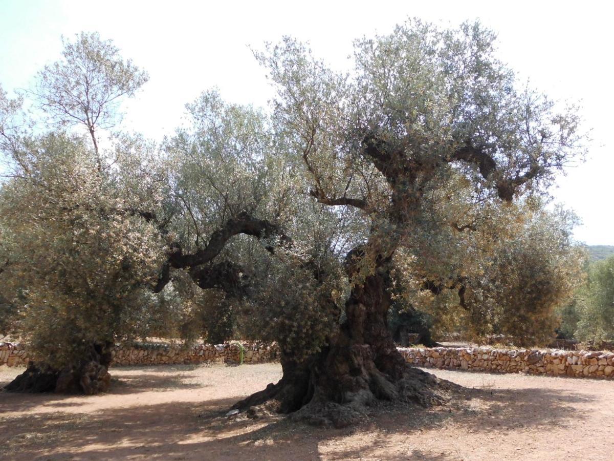 Cálig Casa El Regall מראה חיצוני תמונה