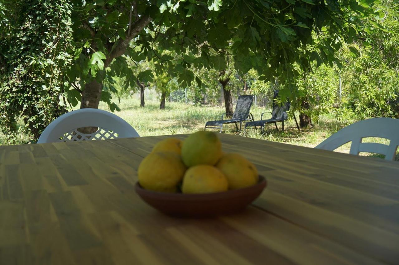 Cálig Casa El Regall מראה חיצוני תמונה